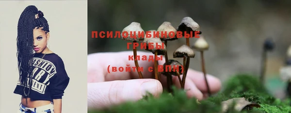 ECSTASY Навашино