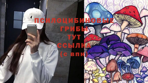 героин Михайлов