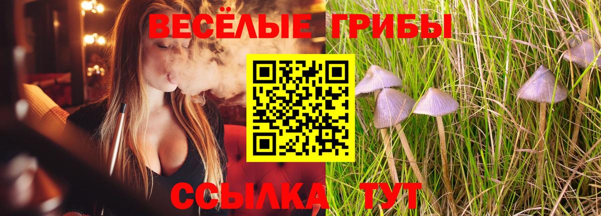 Галлюциногенные грибы прущие грибы Шахты