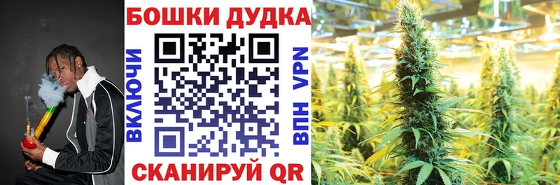 Бошки Шишки Amnesia  Шахты 